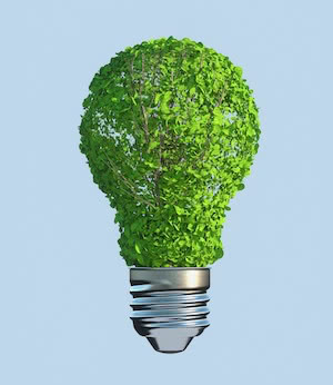 Ideer for en bærekraftig framtid